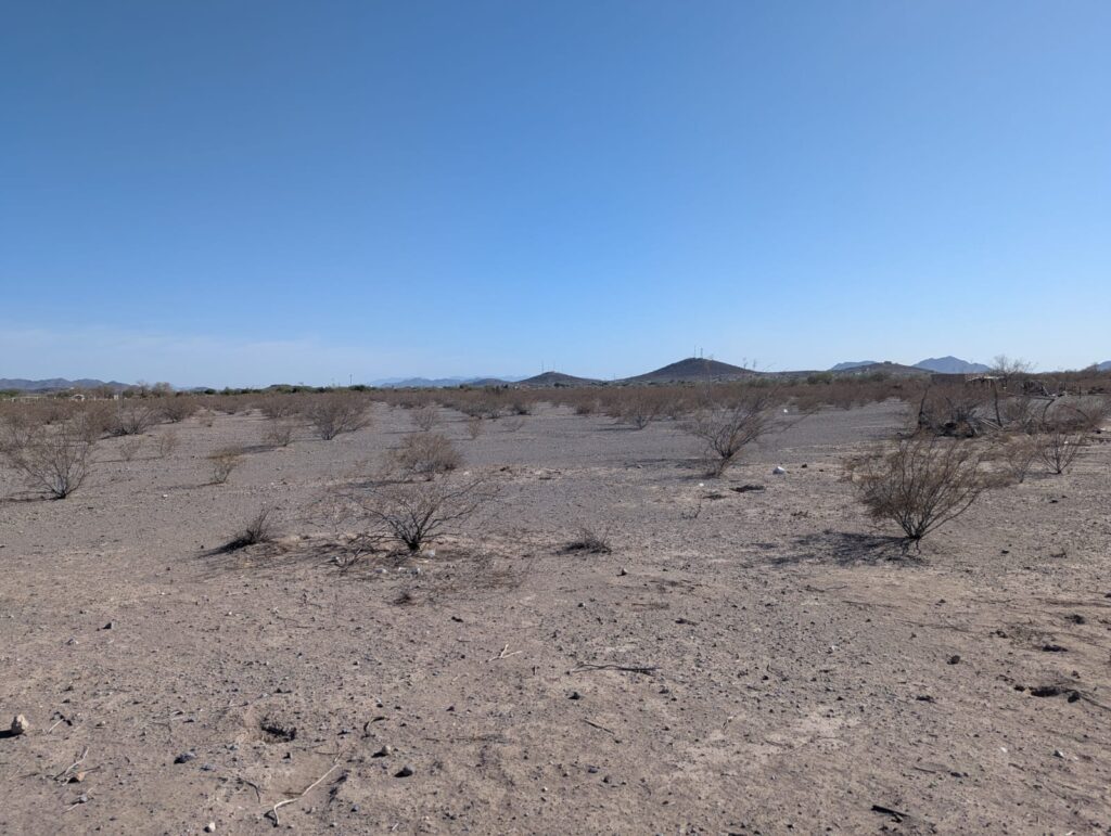 PARCELA EN EJIDO CABORCA
